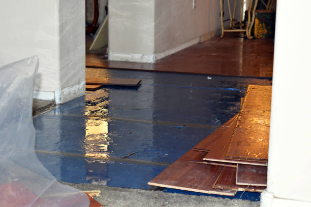 Professional Crawl Space Water Removal technician working in Casar, NC